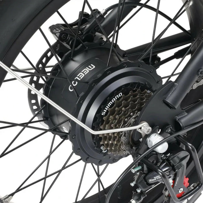 MEELOD DK300 MAX 20" Retro Moped Style Electric Bike 750W(1200W Peak) Dual Motors 48V 20Ah Dual Batteries