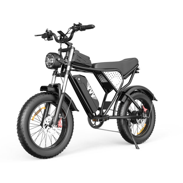YVY C20 20" Fat Tires Electric Bikes 1000W Motor 48V 20Ah Battery