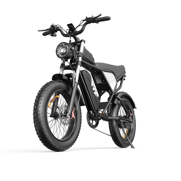 YVY C20 20" Fat Tires Electric Bikes 1000W Motor 48V 20Ah Battery
