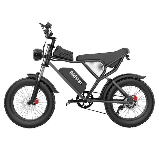 RIDSTAR Q20 20" Fat Tires Electric Bikes 1000W Motor 48V 20Ah Battery